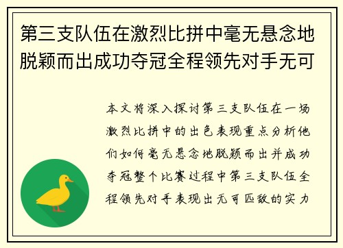 第三支队伍在激烈比拼中毫无悬念地脱颖而出成功夺冠全程领先对手无可匹敌